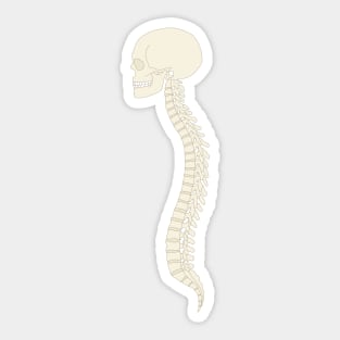 Spinal column Sticker